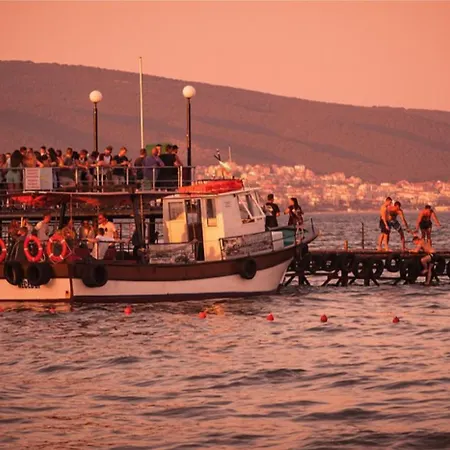 Summer Breeze 406 Sunny *